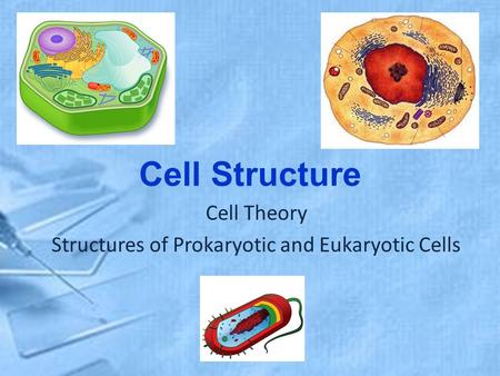 Cell Structure Cell Theory Structures of Prokaryotic and Eukaryotic Cells.