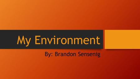 My Environment By: Brandon Sensenig. Lancaster's Settlement Between the 18 and 1900’s immigrants from Germany came to Lancaster for freedom of religion.