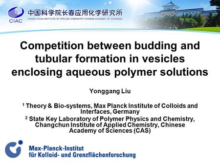 Competition between budding and tubular formation in vesicles enclosing aqueous polymer solutions Yonggang Liu 1 Theory & Bio-systems, Max Planck Institute.