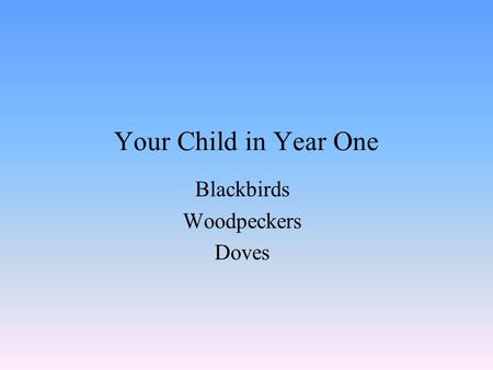 Your Child in Year One Blackbirds Woodpeckers Doves.