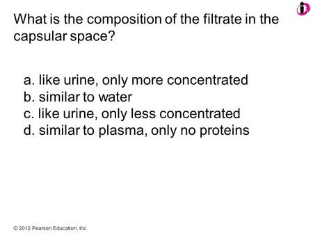What is the composition of the filtrate in the capsular space?