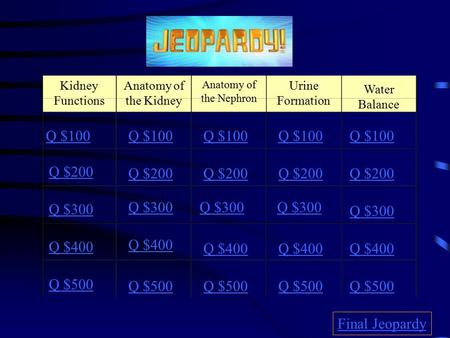 Kidney Functions Anatomy of the Kidney Anatomy of the Nephron Urine Formation Water Balance Q $100 Q $200 Q $300 Q $400 Q $500 Q $100 Q $200 Q $300 Q.