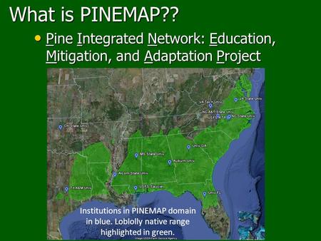 What is PINEMAP?? Pine Integrated Network: Education, Mitigation, and Adaptation Project Pine Integrated Network: Education, Mitigation, and Adaptation.