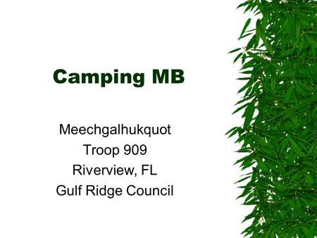 Meechgalhukquot Troop 909 Riverview, FL Gulf Ridge Council