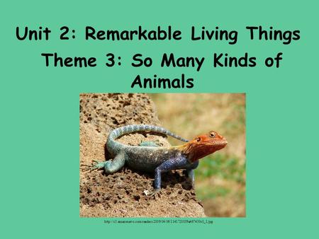 Unit 2: Remarkable Living Things Theme 3: So Many Kinds of Animals