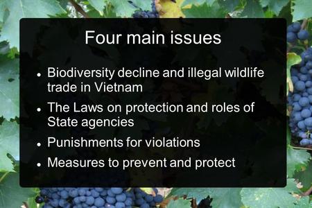 Four main issues Biodiversity decline and illegal wildlife trade in Vietnam The Laws on protection and roles of State agencies Punishments for violations.