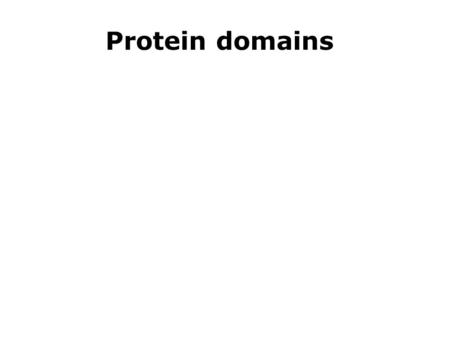 Protein domains. Protein domains are structural units (average 160 aa) that share: Function Folding Evolution Proteins normally are multidomain (average.
