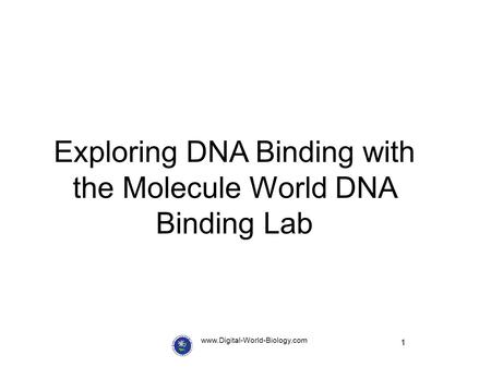 1 www.Digital-World-Biology.com Exploring DNA Binding with the Molecule World DNA Binding Lab.