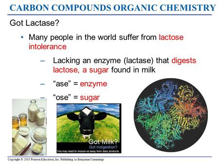 Copyright © 2005 Pearson Education, Inc. Publishing as Benjamin Cummings Got Lactase? Many people in the world suffer from lactose intolerance –Lacking.