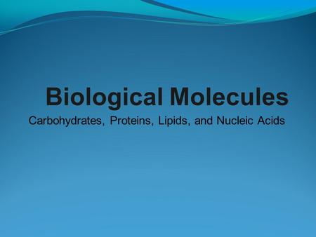 Carbohydrates, Proteins, Lipids, and Nucleic Acids