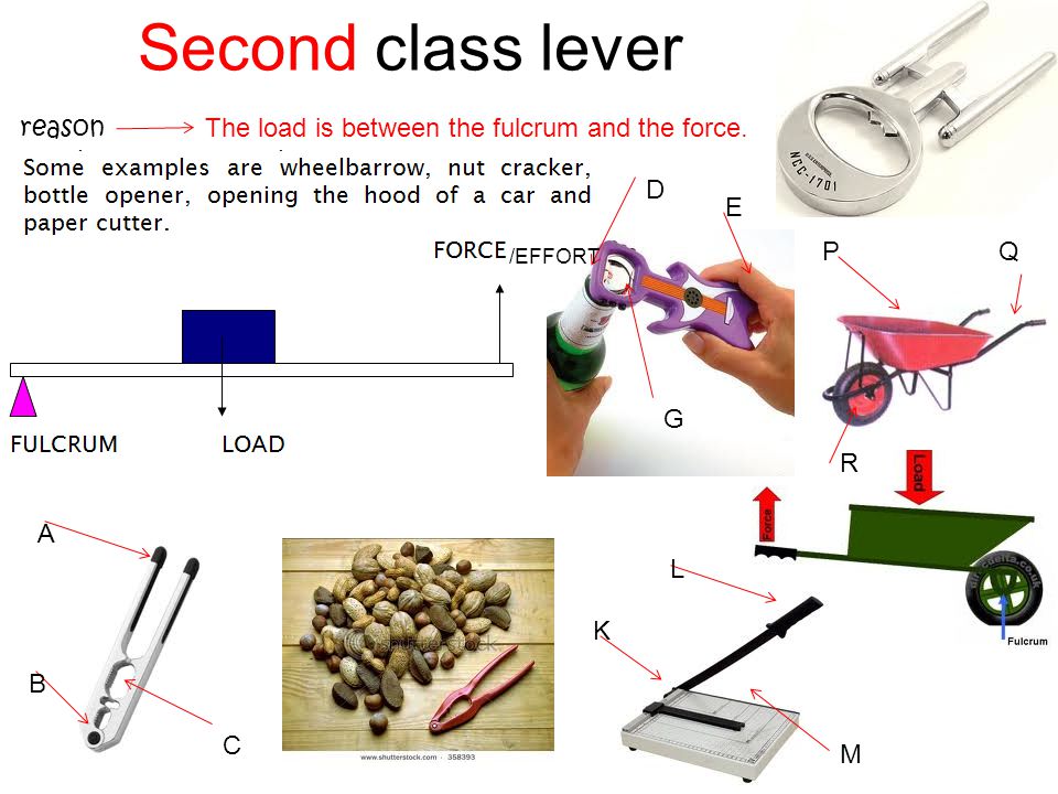 Pictures Of Second Class Levers 115