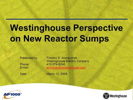 Westinghouse Perspective on New Reactor Sumps