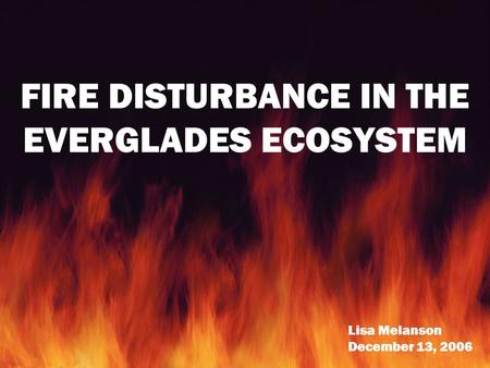 FIRE DISTURBANCE IN THE EVERGLADES ECOSYSTEM Lisa Melanson December 13, 2006.