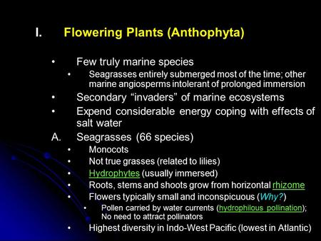 Flowering Plants (Anthophyta)