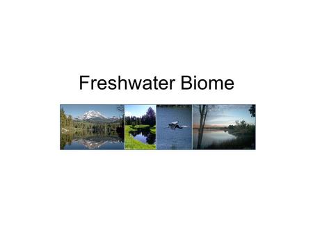 Freshwater Biome. Freshwater Freshwater is defined as having a low salt concentration — usually less than 1%. Plants and animals in freshwater regions.