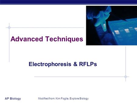 Electrophoresis & RFLPs