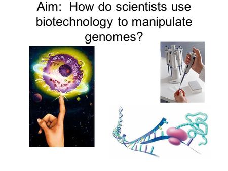 Aim: How do scientists use biotechnology to manipulate genomes?