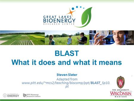 BLAST What it does and what it means Steven Slater Adapted from www.pitt.edu/~mcs2/teaching/biocomp/ppt/BLAST_Sp10.p pt.