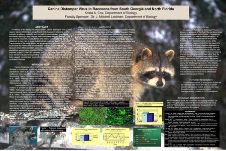 Canine Distemper Virus in Raccoons from South Georgia and North Florida Krista A. Cox, Department of Biology Faculty Sponsor: Dr. J. Mitchell Lockhart,