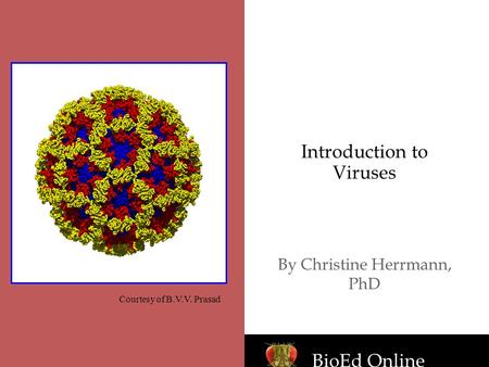 Introduction to Viruses By Christine Herrmann, PhD Courtesy of B.V.V. Prasad BioEd Online.
