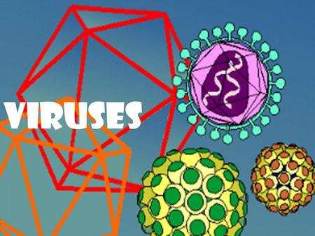 Viruses What are they? How do they work? Where do they come from? And… What good are they? Viruses.