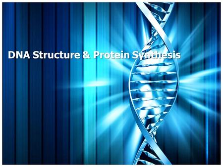 DNA Structure & Protein Synthesis. Must Knows Unit 5 – DNA Objectives Describe the location of DNA inside the cell and explain the importance of its.