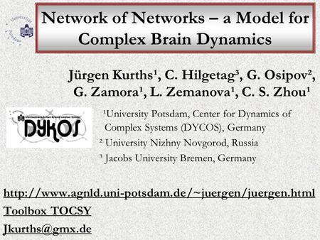 Network of Networks – a Model for Complex Brain Dynamics