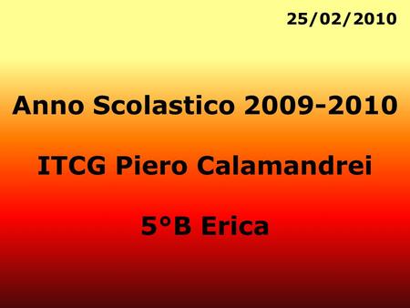 Anno Scolastico 2009-2010 ITCG Piero Calamandrei 5°B Erica 25/02/2010.