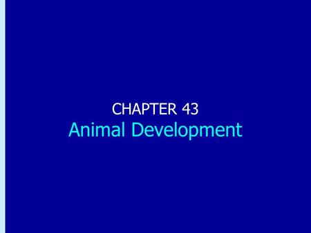 Chapter 43: Animal Development CHAPTER 43 Animal Development.