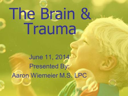 The Brain & Trauma June 11, 2014 Presented By: Aaron Wiemeier M.S. LPC.