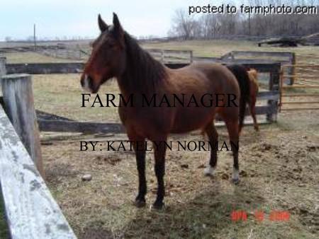 FARM MANAGER BY: KATELYN NORMAN. DESCRIPTION Farm managers are responsible for planning, organizing and managing the activities of a farm to meet the.