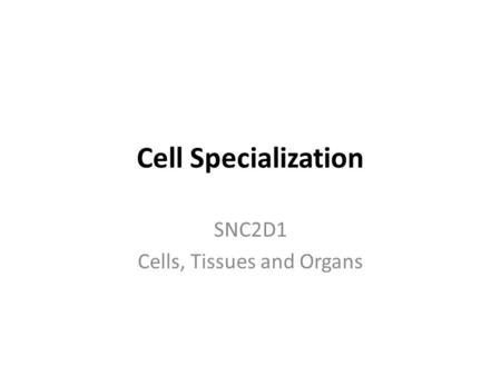 SNC2D1 Cells, Tissues and Organs