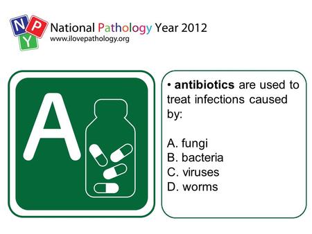 Antibiotics are used to treat infections caused by: A. fungi B. bacteria C. viruses D. worms.