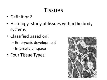 Tissues Definition? Histology- study of tissues within the body systems Classified based on: – Embryonic development – Intercellular space Four Tissue.