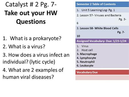Catalyst # 2 Pg. 7- Take out your HW Questions 1.What is a prokaryote? 2. What is a virus? 3. How does a virus infect an individual? (lytic cycle) 4. What.