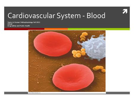 Cardiovascular System - Blood Topics in Human Pathophysiology Fall 2011 Gilead Drug Safety and Public Health.