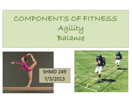 COMPONENTS OF FITNESS Agility Balance SHMD 249 7/3/2013.
