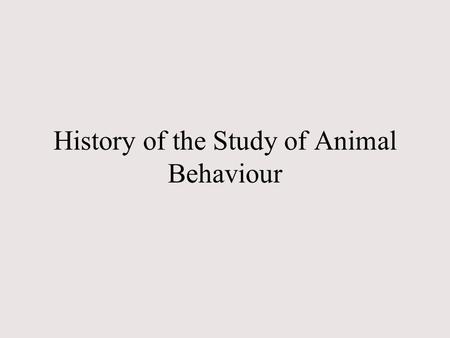 History of the Study of Animal Behaviour. History of Studies of Animal Behaviour Scala Naturae ( Aristotle ) Evolutionary Approach ( J.Lamarck; C.Darwin.