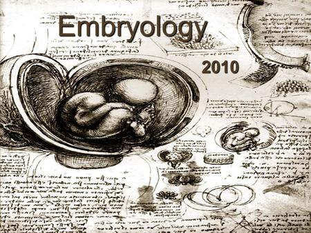 Embryology 2010. History of Embryology Aristotle (384-322 BC) –The Generation of Animals (350 BC) »Oviparity »Viviparity »Ovoviviparity –Epigenesis (!)