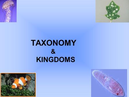 TAXONOMY & KINGDOMS Go to Section:.