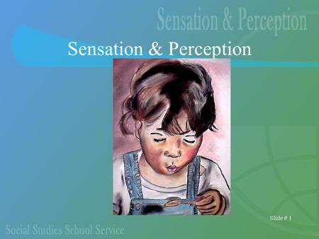 Slide # 1 Sensation & Perception. Slide # 2 An Introductory Activity Researchers have found that our experiences influence our perceptions Look at the.