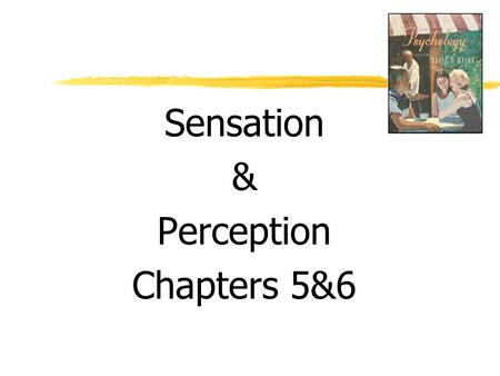 Sensation & Perception Chapters 5&6.