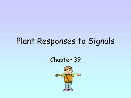Plant Responses to Signals Chapter 39. Plants have to respond to gravity and other stimuli in environment. Growth pattern in plants - reaction to light.