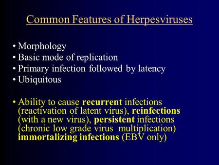 Common Features of Herpesviruses