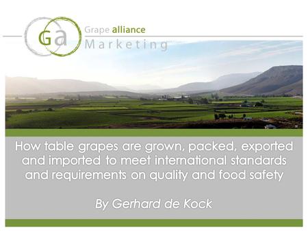 We see it as essential to govern our own destiny within the table grape industry. OUR POSITIONING 5 main categories: 1) Grower exporter that’s RESPONSIBLE.