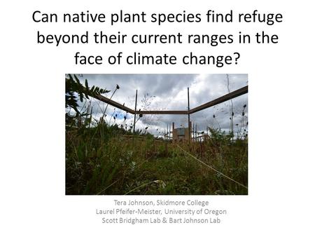 Can native plant species find refuge beyond their current ranges in the face of climate change? Pacific Northwest (PNW) prairies are an imperiled ecosystem.