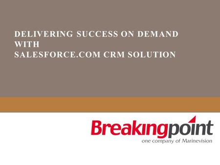 DELIVERING SUCCESS ON DEMAND WITH SALESFORCE.COM CRM SOLUTION.