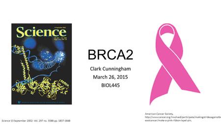 BRCA2 Clark Cunningham March 26, 2015 BIOL445 American Cancer Society,  eastcancer/make-a-pink-ribbon-lapel-pin,