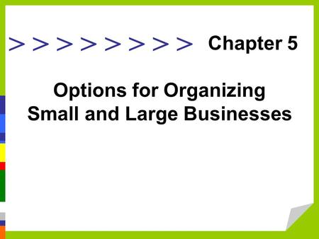 > > > > Options for Organizing Small and Large Businesses Chapter 5.