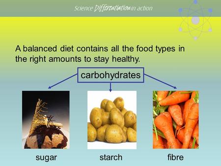 Science Differentiation in action carbohydrates sugarfibre A balanced diet contains all the food types in the right amounts to stay healthy. starch.